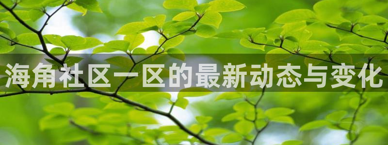 爱情公寓海角社区在哪：海角社区一区的最新动态与变化