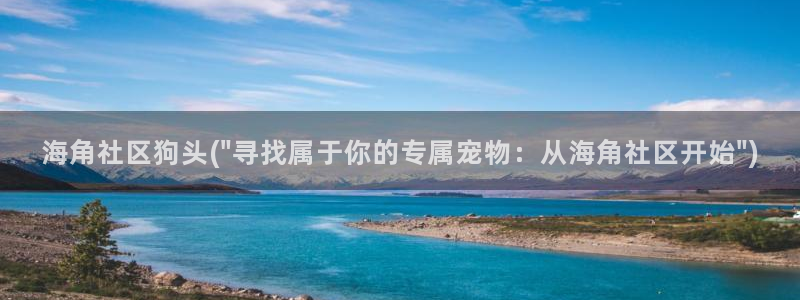 海角社区app：海角社区狗头(\