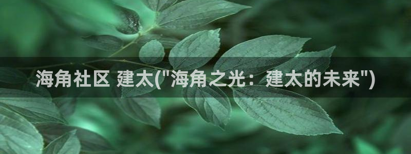 手机海角社区下载：海角社区 建太(\