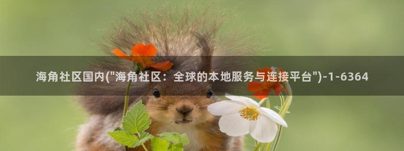 海角在线社区：海角社区国内(\