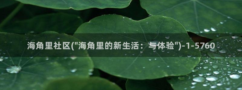 海角社区的名字怎么弄：海角里社区(\