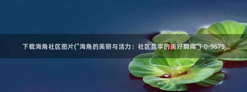 网传海角社区：下载海角社区图片(\