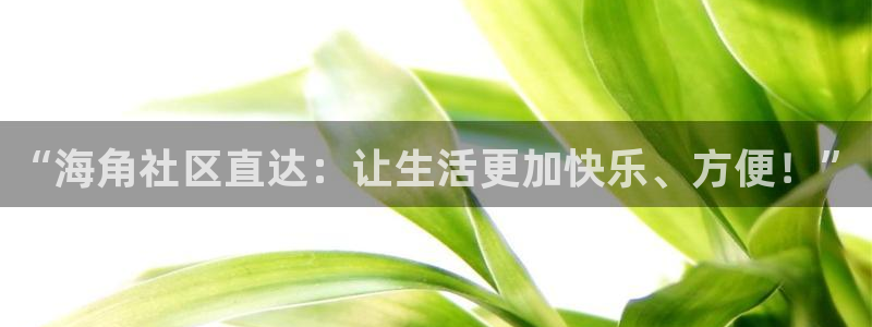 海角社区平台：“海角社区直达：让生活更加快乐、方便！”
